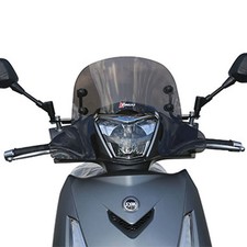 CUPOLINO FACO 29065 SYM HD 300 FUME' ASTE VERNICIATE