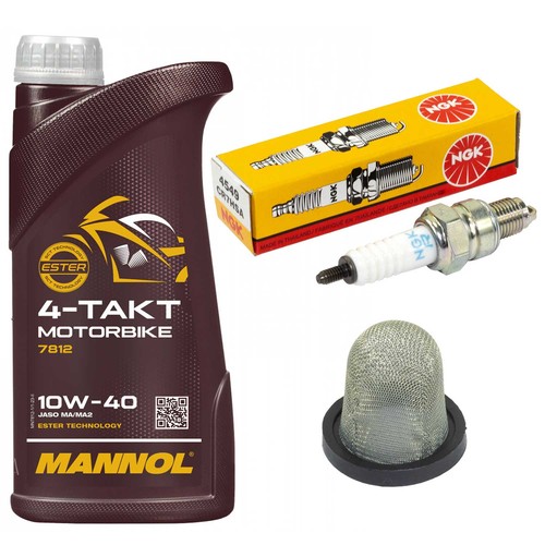 Kit olio ispezione - 1l, filtro