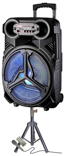 Altoparlante portatile 4500