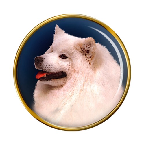 Samoiedo cane distintivo - cane, di