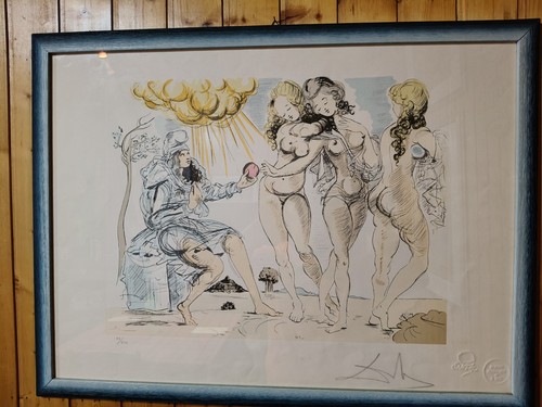 Salvador dali litografia - salvador,