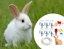 Per Coniglio Irrigatore per Allevatori con Doppia Molla Beccuccio Anatra Design