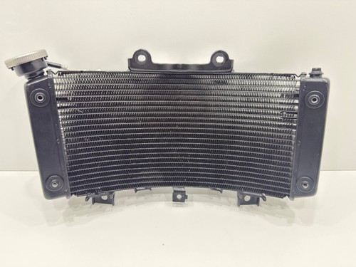 Radiatore acqua ktm - radiatore, 390