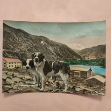 COLLE DEL GRAN S. BERNARDO  - CARTOLINA USATA A COLORI DA COLLEZIONE