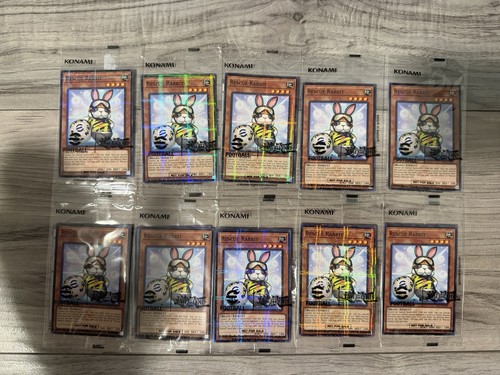 10x rescue rabbit - 10x,