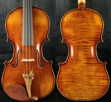 Violino completo finemente