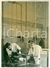 1935 ca BERLIN (DE) Scienziati