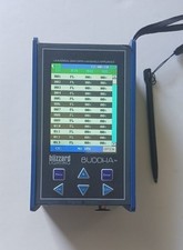 Buddha bufera di neve