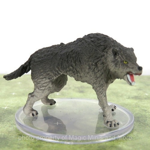 Wild shape polymorph dire - wild, ~