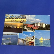 BIBIONE PINEDA - CARTOLINA A COLORI