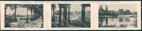 Mantova esposizione mantovana - esposizione,
