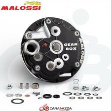 2519075 CARTER MALOSSI GEAR