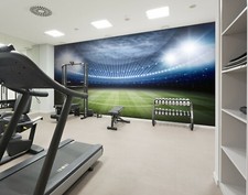 3D Stadium 31426NA Business