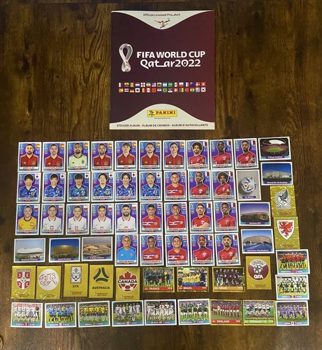 Qatar world cup 2022 panini - cup,