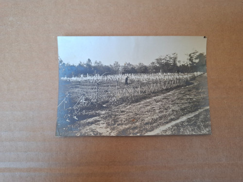 Foto prima guerra - guerra,
