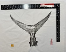 Stampa Gyotaku coda di tonno