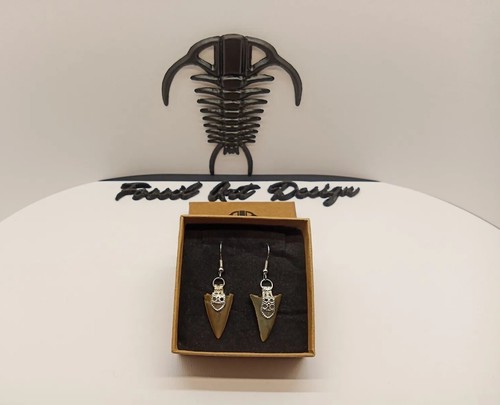 Fossil tooth shark - fossil,