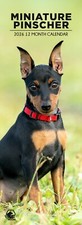 Miniatura Pinscher Dog 2026 Calendari Sottili