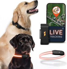 – Collare LED Luminoso + GPS