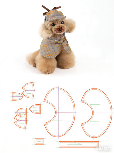 Sherlock holmes detective pet - holmes,