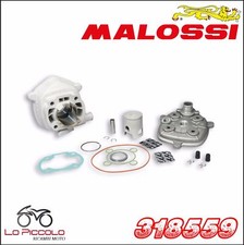 318559 MALOSSI THERMAL GROUP