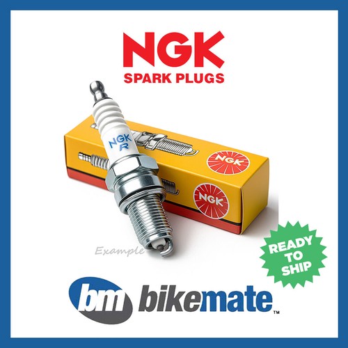 Spark plug standard for - standard,