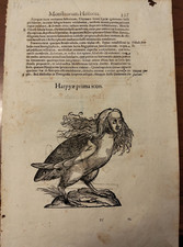 ULISSE ALDROVANDI INCISIONI