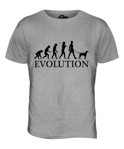 Epagneul breton evolution - evolution, of