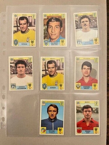 Panini mexico mint green - panini, 70