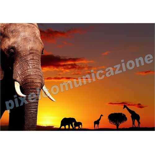 Quadri moderni poster arredo - moderni,