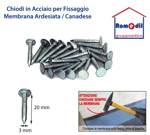 Chiodi testa piatta per
