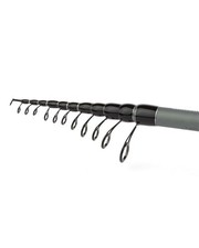 Fishing Rod Beastmaster AX