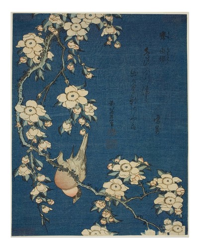 Hokusai fiori ciliegio - fiori, di