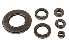 Kit anelli di tenuta motore