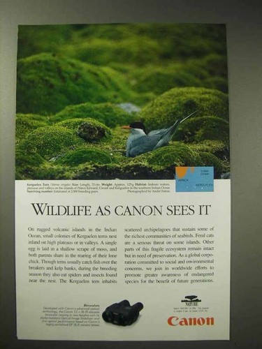 Pubblicità binocolo canon - pubblicità,