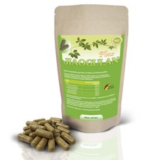 Jiaogulan Plus - MSM - Incenso