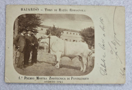 Cartolina frosinone pontecorvo - frosinone,