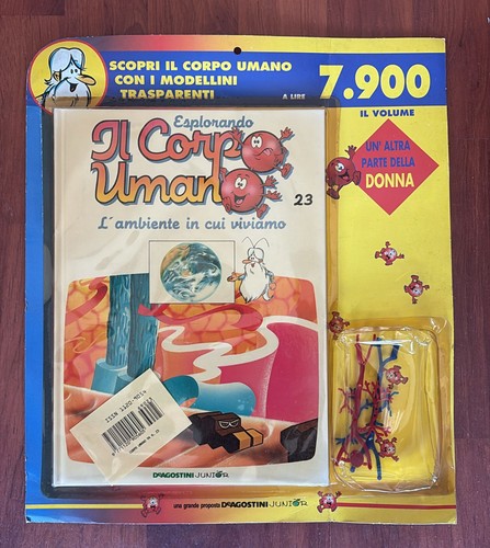 Esplorando corpo - il,