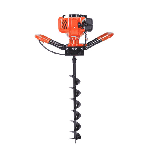 Trivella mototrivella - , a