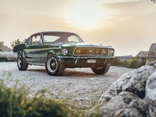 Photo ford mustang - ford,