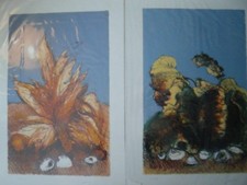 Giancarlo Cazzaniga due