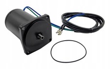 Motore ribaltabile Tilt Trim