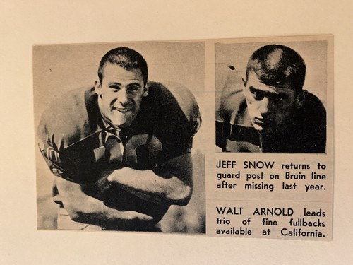 Jeff snow walt arnold - walt,