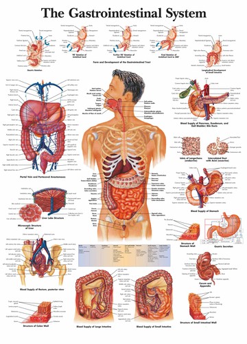 Poster sistema - poster,