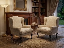 Coppia di Eleganti poltrone