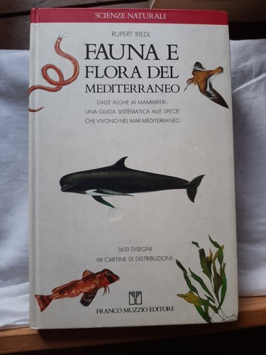 Fauna flora del mediterraneo - fauna, e