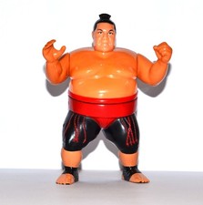 Hasbro WWF Wrestling