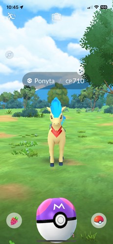 Accessorio candela ponyta - candela,