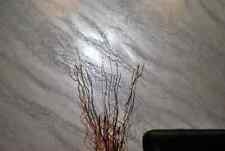 Pittura Decorativa Pietra