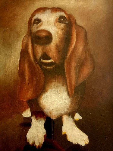 Pittura olio - pittura,